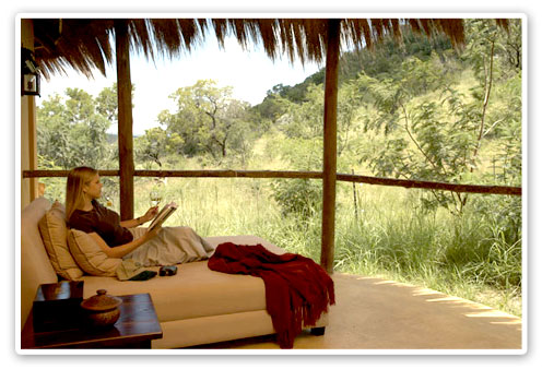 Pilanesberg Game Reserve Accommodation Booking Private Deck Ivory Tree Game Lodge Malaria Free Big Five