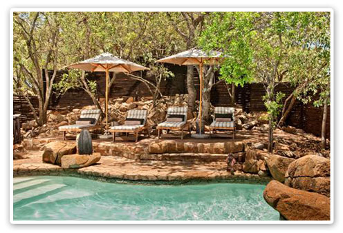 Swimming Pool Tshukudu Bush Lodge Malaria Free Big Five Pilanesberg Game Reserve Accommodation Booking