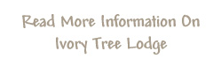 Ivory Tree Game Lodge Pilanesberg Accommodation